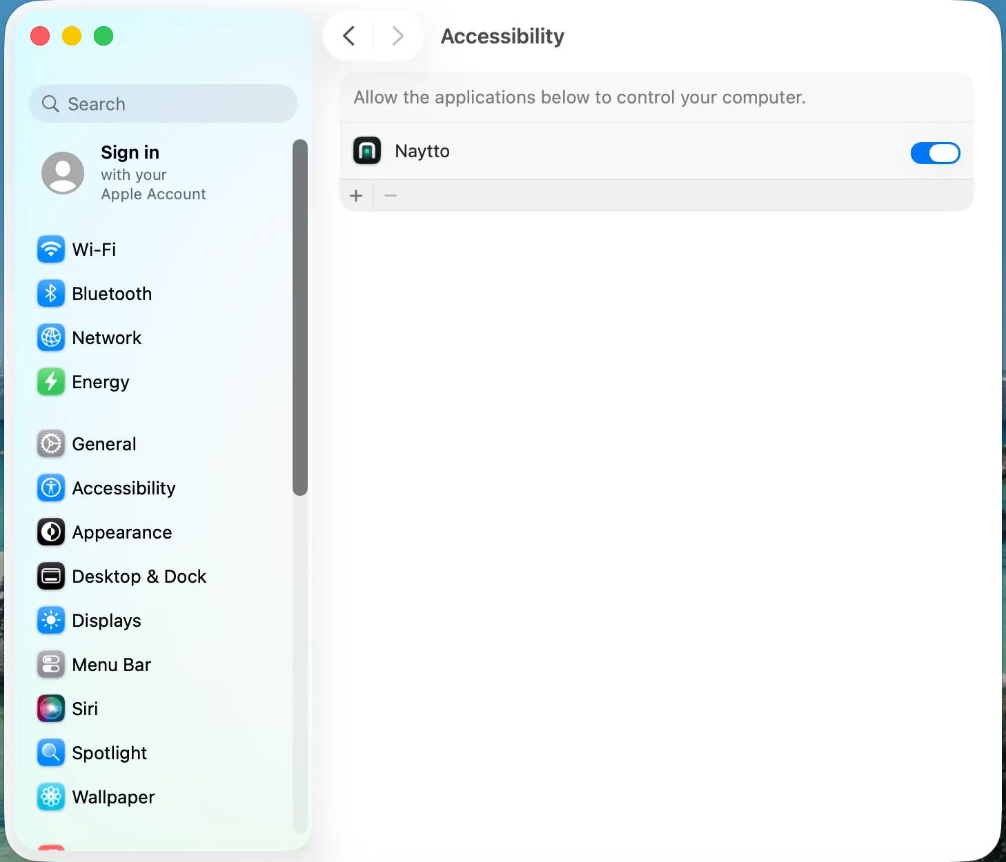 System Settings at Accessibility with Naytto’s switch turned on.
