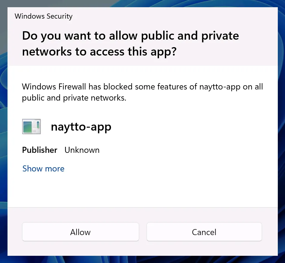 Windows Security asking Do you want to allow public and private networks to access this app? about naytto-app, from publisher Unknown, with the Allow and Cancel buttons.